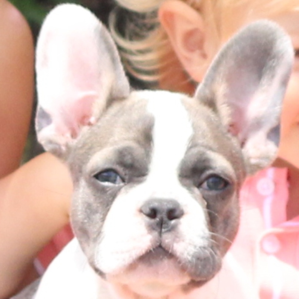 Meet your Posher, Katie